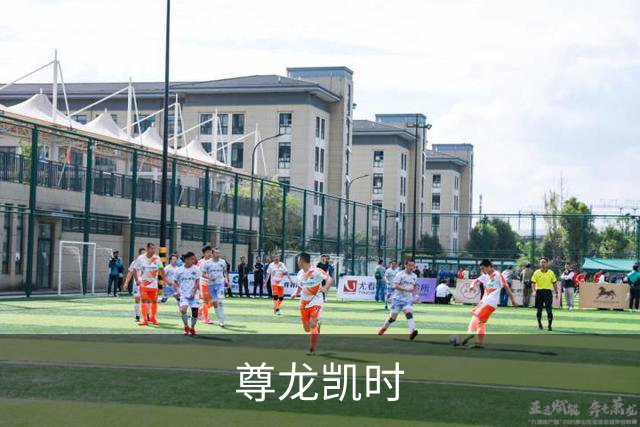 尊龙凯时公司简介图片